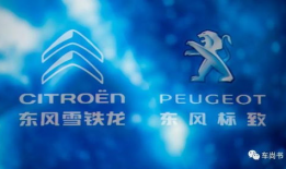 成仁视频,揭秘人生真谛，探寻心灵成长之路